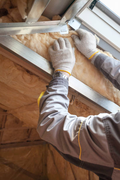 Best Eco-Friendly or Green Insulation Solutions  in Watertown Town, MA