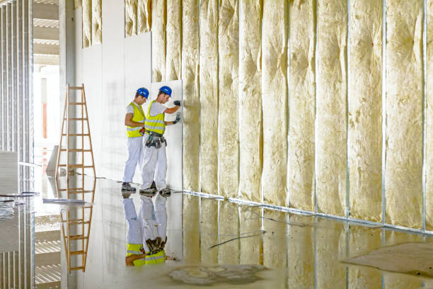 Best Attic Insulation Installation  in Watertown Town, MA